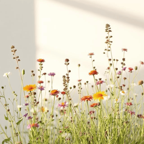 80/20% LIGHT SHADE Wildflowers (250g / 1Kg pack)
