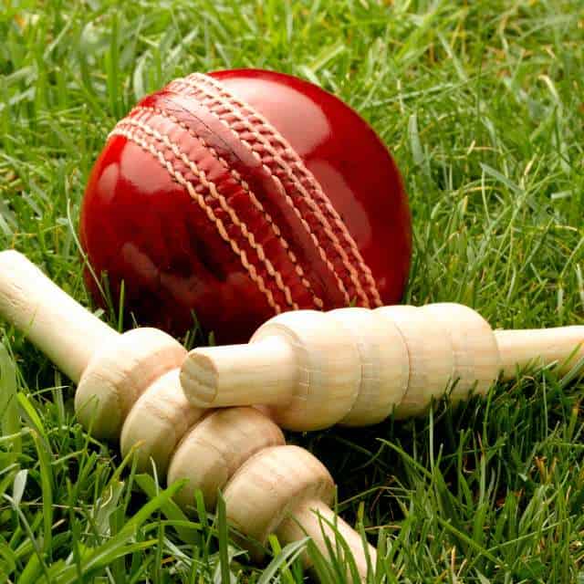 IDS - Cricket placeholder