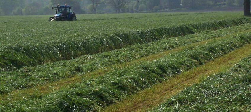 Farm